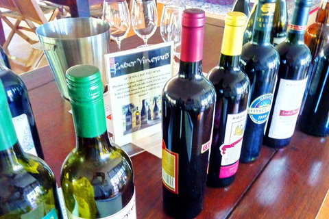 Reflections On The Swan (Private) Day Tour - Darwin Holiday 5