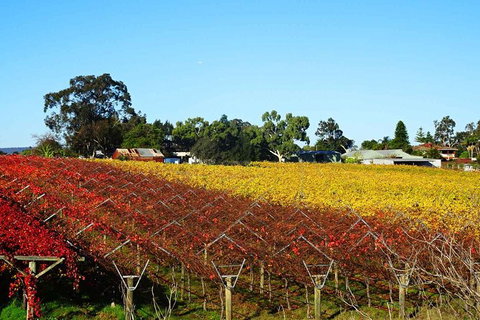 Reflections On The Swan (Private) Day Tour - Darwin Holiday 8