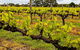 Margaret River Indulge And Discover Day Tour - thumb 20