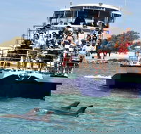 Mandurah Dolphin and Scenic Marine Cruise - Darwin Holiday