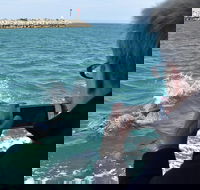 Mandurah Dolphin Island Adventure - Darwin Holiday