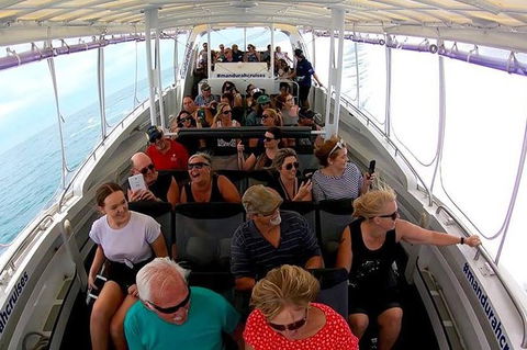 Mandurah Dolphin Island Adventure - Darwin Holiday 1