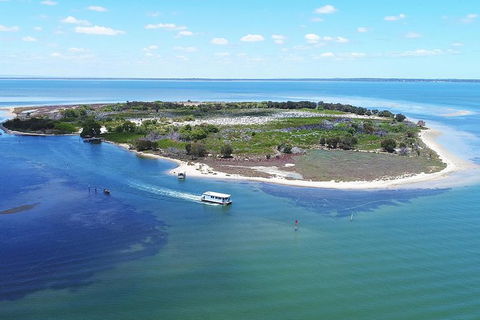 Mandurah Dolphin Island Adventure - Darwin Holiday 8