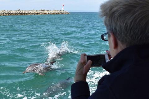 Mandurah Dolphin Island Adventure - Darwin Holiday 2