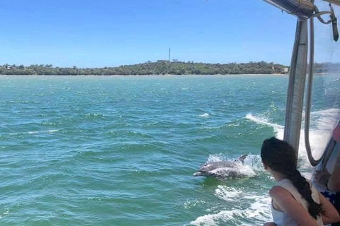 Mandurah Dolphin Island Adventure - Darwin Holiday 9