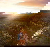 Leeuwin Estate Food and Wine Experience - Darwin Holiday