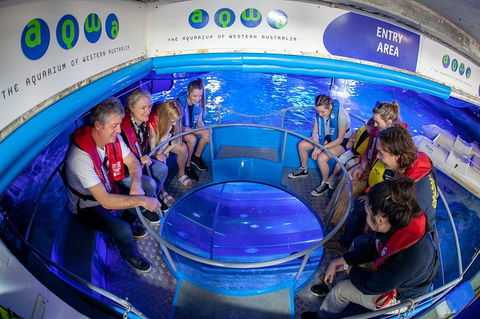 Glass Bottom Boat Adventure And AQWA General Entry Ticket - Darwin Holiday 0