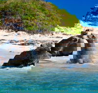 Penguin Island Tour with Dolphin and Sea Lion Cruise - Darwin Holiday