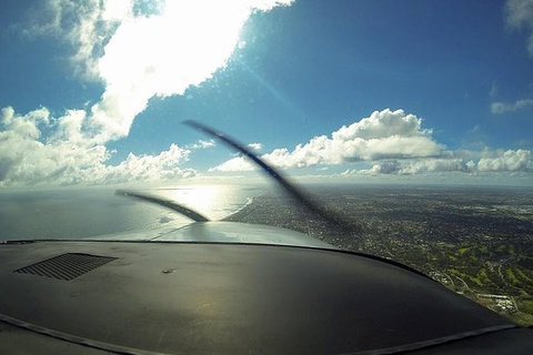 Bunbury Dolphins Discovery Tour - Fly From Perth - Darwin Holiday 4