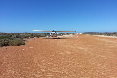 Abrolhos Islands Scenic Flight & Snorkel Adventure From Perth - Darwin Holiday 1