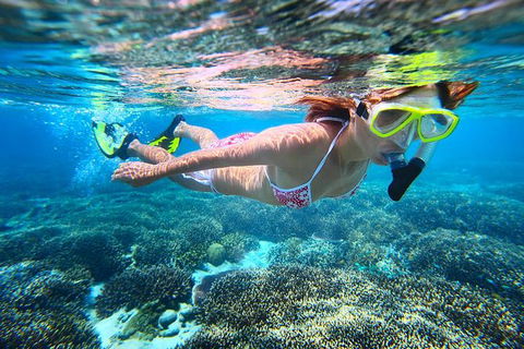 Abrolhos Islands Scenic Flight & Snorkel Adventure From Perth - Darwin Holiday 2