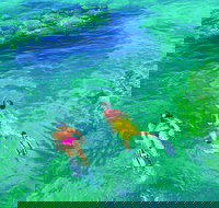 5 Day Perth to Exmouth Cruiser  One-Way - Darwin Holiday