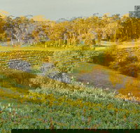 Swan Valley Private Tour - Darwin Holiday