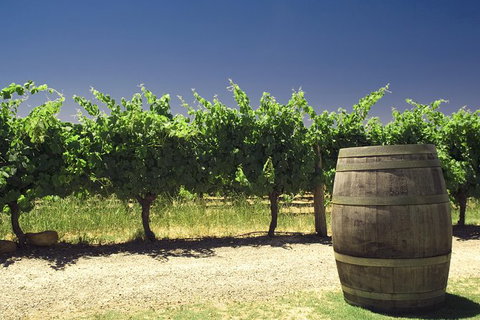 Swan Valley Private Tour - Darwin Holiday 6