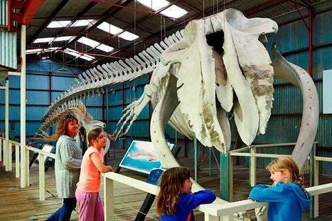 Albany\'s Historic Whaling Station Admission Ticket - Darwin Holiday 1
