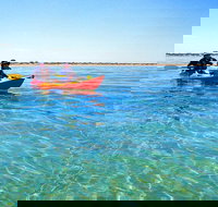 Turtle Tour - Ningaloo Reef Half Day Sea Kayak and Snorkel Tour - Darwin Holiday