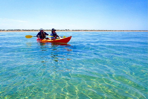 Turtle Tour - Ningaloo Reef Half Day Sea Kayak And Snorkel Tour - Darwin Holiday 0
