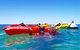 Turtle Tour - Ningaloo Reef Half Day Sea Kayak And Snorkel Tour - thumb 1
