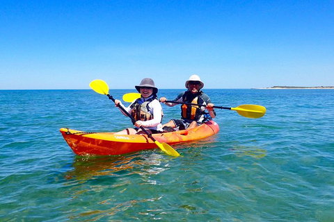 Turtle Tour - Ningaloo Reef Half Day Sea Kayak And Snorkel Tour - Darwin Holiday 7