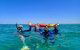 Turtle Tour - Ningaloo Reef Half Day Sea Kayak And Snorkel Tour - thumb 9
