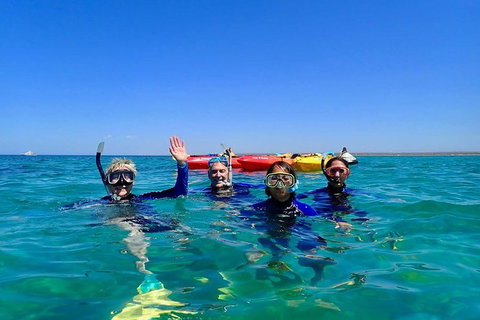 Turtle Tour - Ningaloo Reef Half Day Sea Kayak And Snorkel Tour - Darwin Holiday 9