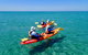 Turtle Tour - Ningaloo Reef Half Day Sea Kayak And Snorkel Tour - thumb 6