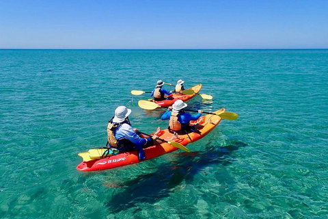 Turtle Tour - Ningaloo Reef Half Day Sea Kayak And Snorkel Tour - Darwin Holiday 6