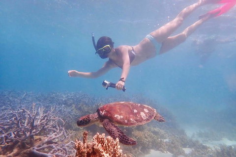 Turtle Tour - Ningaloo Reef Half Day Sea Kayak And Snorkel Tour - Darwin Holiday 8