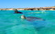 Turtle Tour - Ningaloo Reef Half Day Sea Kayak And Snorkel Tour - thumb 2
