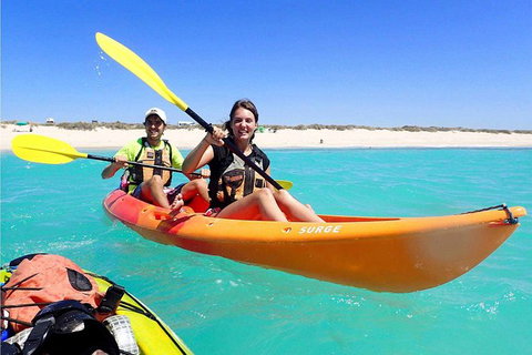 Turtle Tour - Ningaloo Reef Half Day Sea Kayak And Snorkel Tour - Darwin Holiday 3