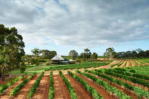 Vasse Felix Winery Tour And Tasting - Darwin Holiday 2
