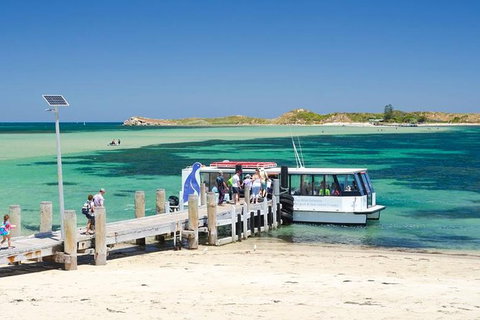 Penguin Island And Caversham Wildlife Park Day Trip From Perth - Darwin Holiday 0