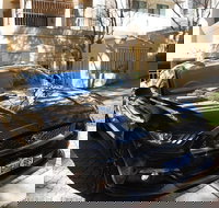 Wineries and Wildlife - With Mustang V8 Fastback - Darwin Holiday