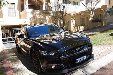 Wineries And Wildlife - With Mustang V8 Fastback - Darwin Holiday 0
