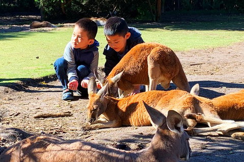 Perth Kids Explorer (Private) Day Tour - Darwin Holiday 1