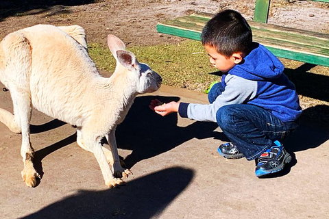 Perth Kids Explorer (Private) Day Tour - Darwin Holiday 8