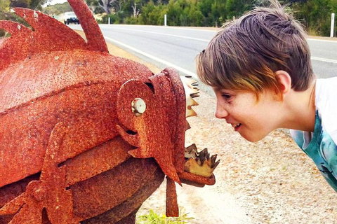 Perth Kids Explorer (Private) Day Tour - Darwin Holiday 16