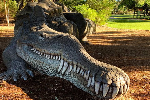 Perth Kids Explorer (Private) Day Tour - Darwin Holiday 9