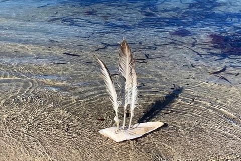 Perth Kids Explorer (Private) Day Tour - Darwin Holiday 5