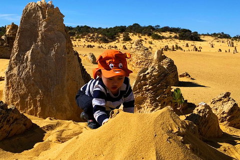 Perth Kids Explorer (Private) Day Tour - Darwin Holiday 3