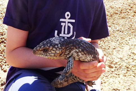 Perth Kids Explorer (Private) Day Tour - Darwin Holiday 13