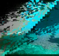 Scuba Dive Ningaloo Reef - Darwin Holiday