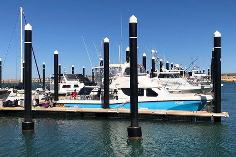 Scuba Dive Ningaloo Reef - Darwin Holiday 7