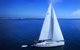 Rottnest Island Sailing Day Trip From Fremantle - thumb 2