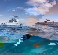 Exclusive Ningaloo Adventure Charter from Exmouth - Darwin Holiday