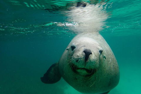 SAILING CHARTER TO CARNAC ISLAND - Darwin Holiday 1