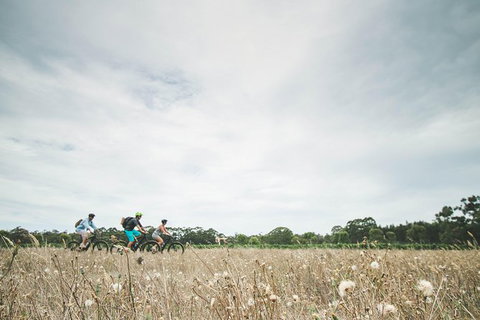 Electric Bike Winery And Brewery Tour - Darwin Holiday 2