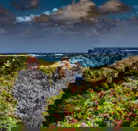Guided Walks on the Cape to Cape - Wilyabrup Cliffs - Darwin Holiday