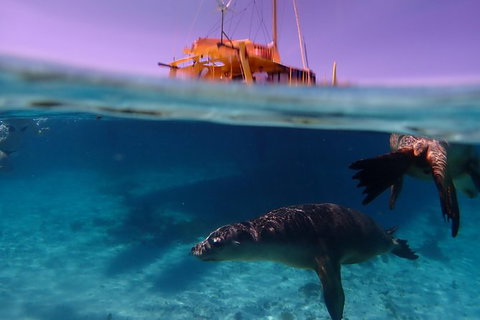 Carnac Island Half Day Sail - Darwin Holiday 1