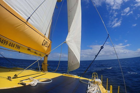 Carnac Island Half Day Sail - Darwin Holiday 5